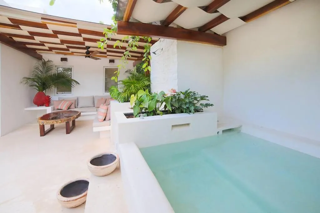Estrena Espectacular Villa, Piscina Xl Y Jacuzzi Tulum Vila
