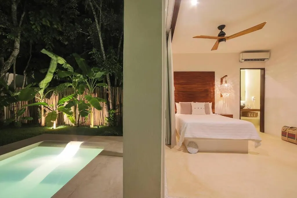 Estrena Espectacular Villa, Piscina Xl Y Jacuzzi Tulum Mexiko